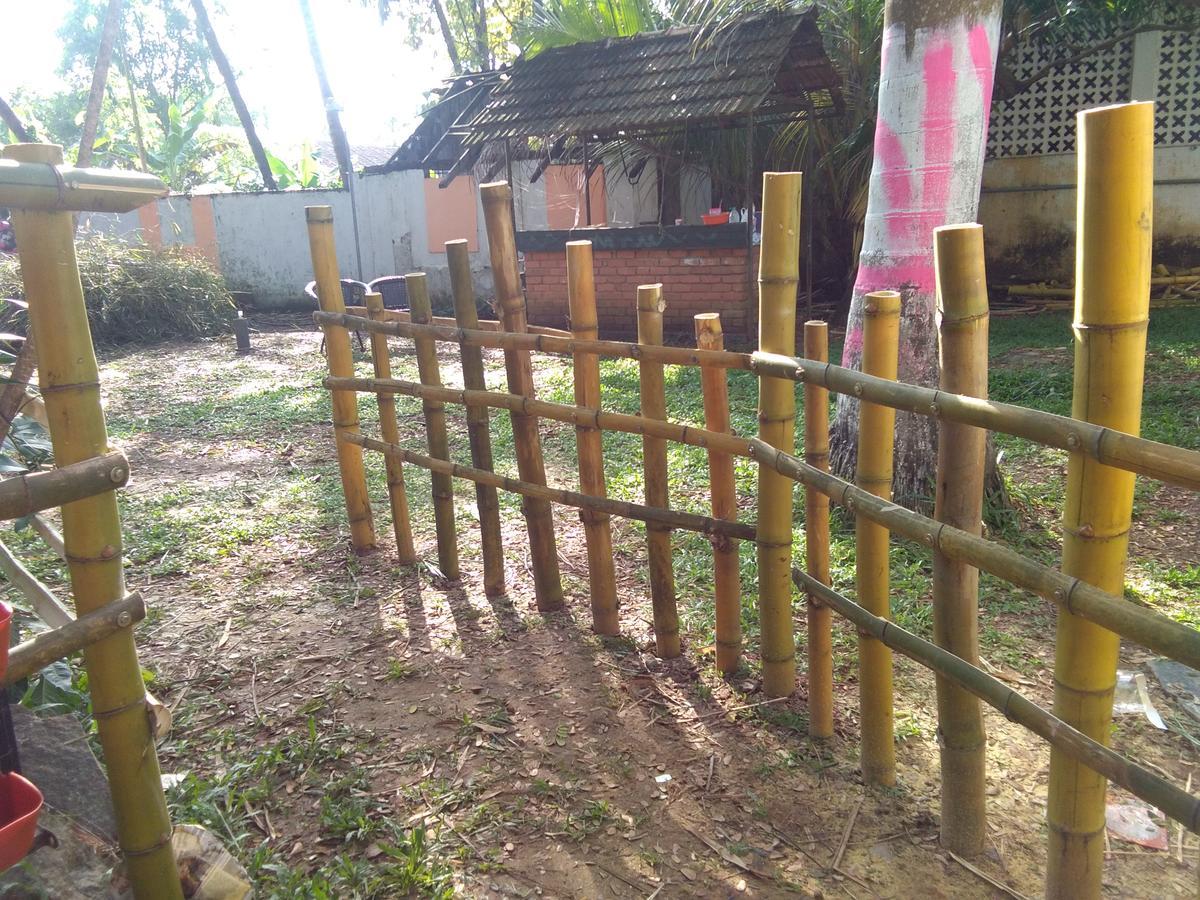 Elphinstone Residency Bed & Breakfast Kochi Luaran gambar